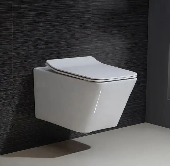 Wall-Hung Toilet
